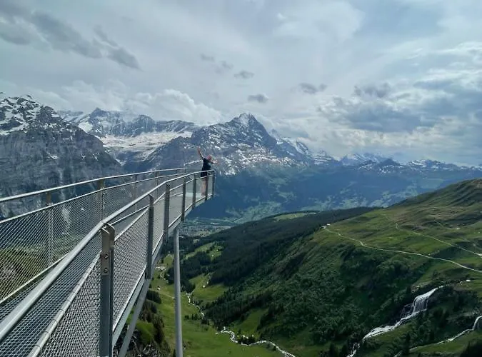 ألميس سونا جريندلوالد