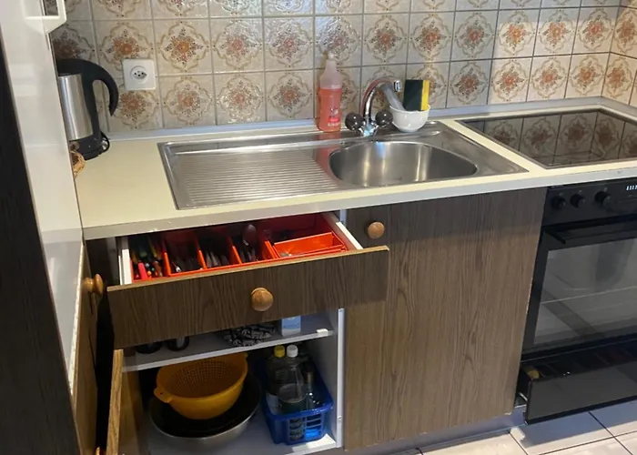 艾米斯松纳公寓 * 格林德瓦